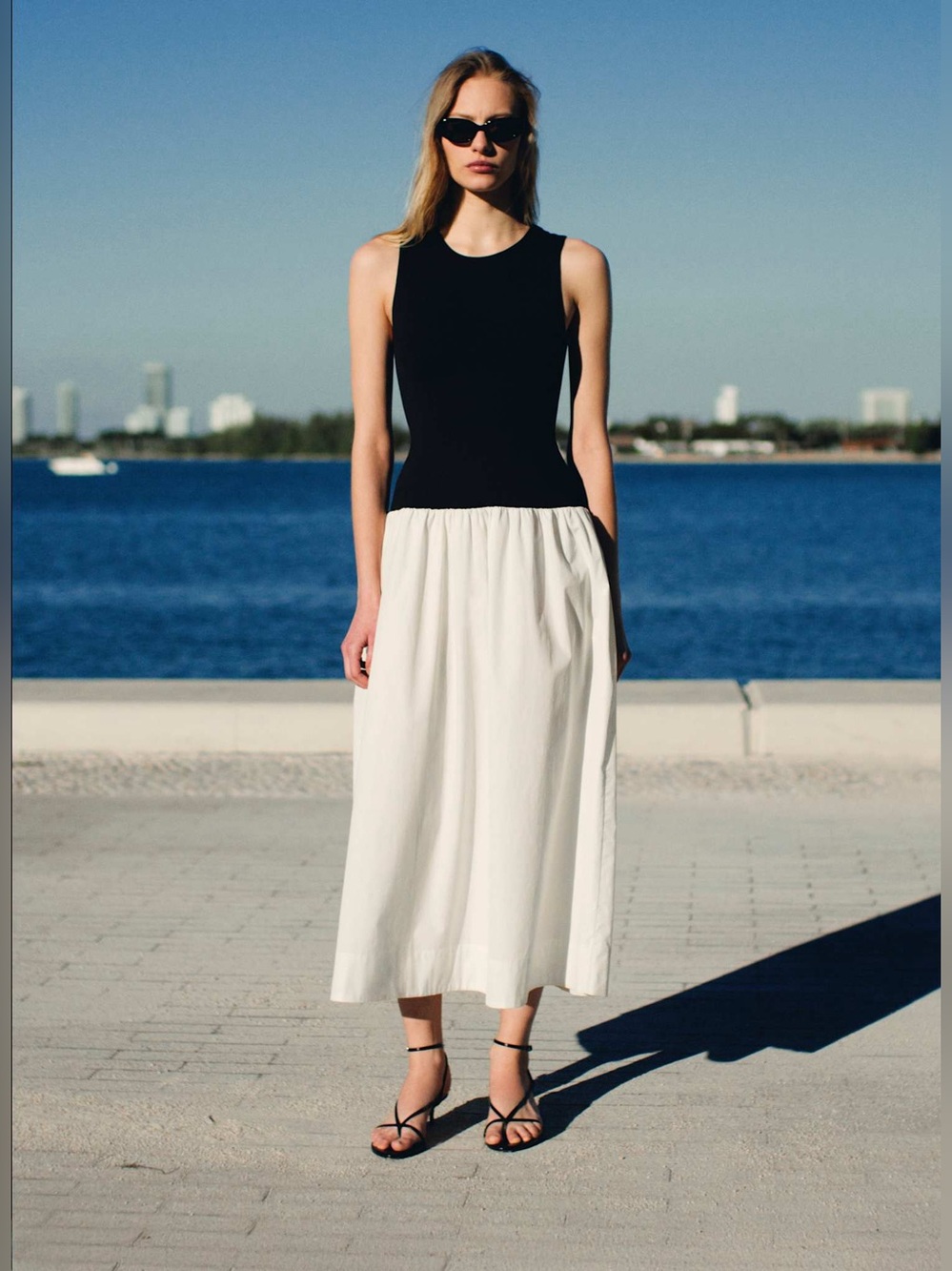 Aritzia Babaton Worldly Poplin Dress